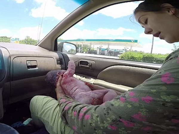 Chồng quay phim vợ sinh con trong xe trên đường đến bệnh viện ảnh 5