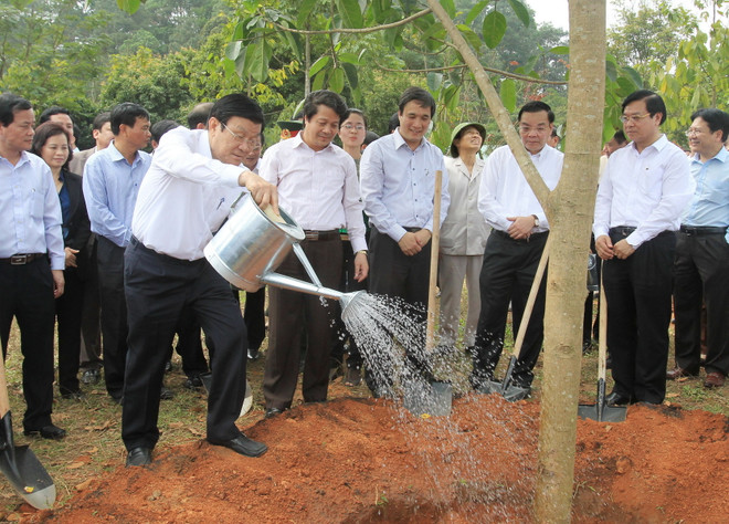 Chủ tịch nước phát động Tết trồng cây Xuân Ất Mùi năm 2015 ảnh 1