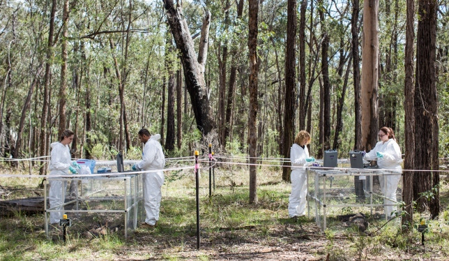 Canada mở “Trang trại thi thể” đầu tiên phục vụ mục đích nghiên cứu ảnh 1