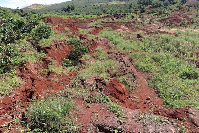 Lâm Đồng đánh sập hầm vàng trái phép khiến sụt lún đất vườn của dân ảnh 1