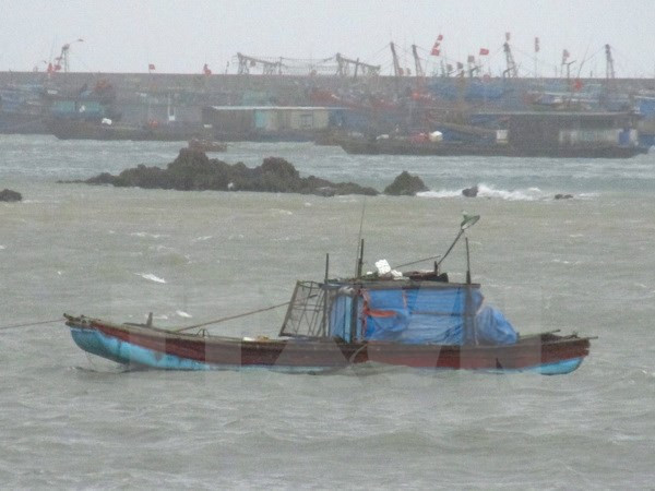 [Video] Mưa lớn khiến đảo Quan Lạn và Cô Tô bị thiệt hại nặng nề ảnh 1