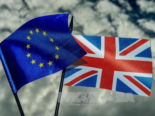 83% nhà khoa học Anh mong muốn ở lại "ngôi nhà chung" ảnh 1