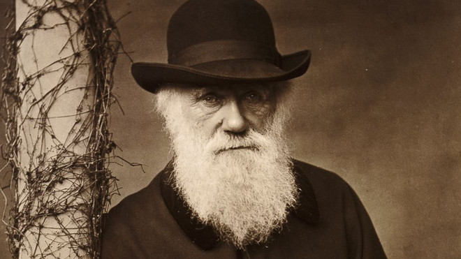 Charles Darwin, ông tổ của thuyết tiến hóa. (Nguồn: Getty) Các nhà khoa học đã tìm ra lời giải cho “thế lưỡng nan của Darwin”? ảnh 1