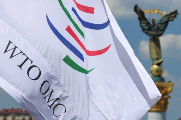 WTO ủng hộ Nga trong tranh cãi với Ukraine về trung chuyển hàng hóa ảnh 1