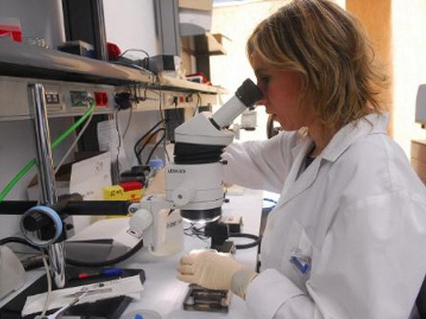 Nga và Cuba ký thỏa thuận hợp tác trong lĩnh vực y sinh học ảnh 1