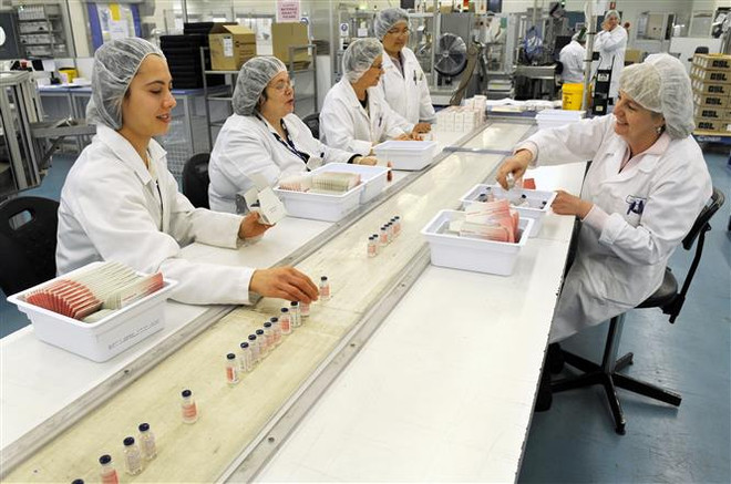 Công nhân làm việc trong dây chuyền sản xuất vaccine tại cơ sở của Tập đoàn y tế Australia CSL ở Melbourne (Australia). (Ảnh: AFP/TTXVN) Các loại thuốc điều trị COVID-19 phát huy hiệu quả ở Australia ảnh 1