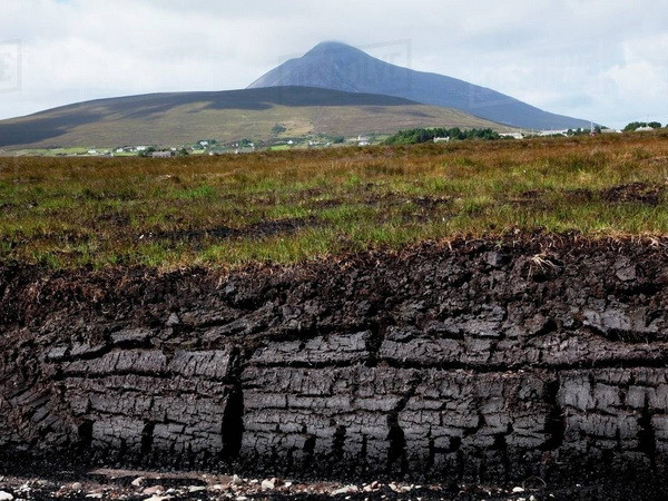 Nguy cơ phát thải khí CO2 từ các đầm lầy than bùn Trung Phi ảnh 1