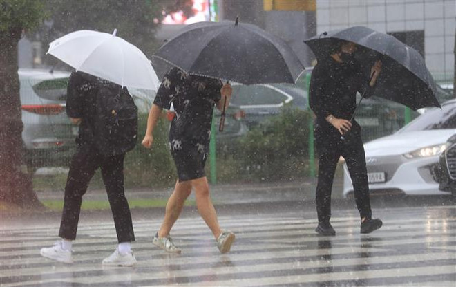 Hàn Quốc: Đảo Jeju ngập nặng, nhiều chuyến bay bị hủy vì bão Chanthu ảnh 1