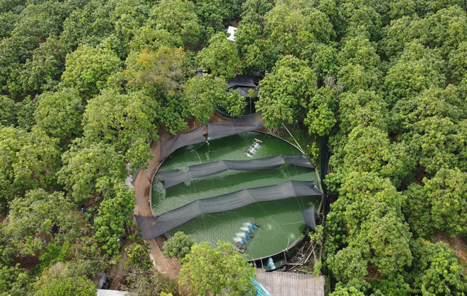 dong thap_nuoi ca 2.jpg