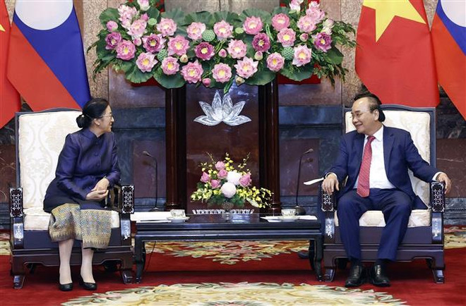 Chủ tịch nước tiếp xã giao Phó Chủ tịch nước Lào Pany Yathotou ảnh 1