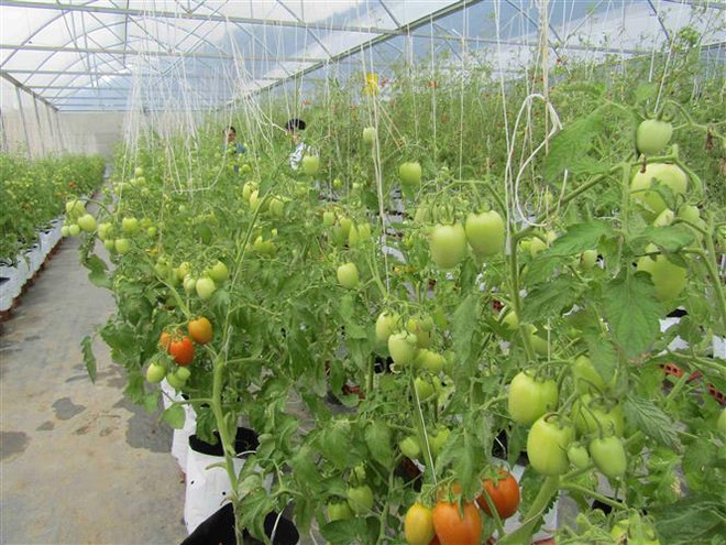 Bình Dương kêu gọi doanh nghiệp Pháp đầu tư vào công nghệ cao ảnh 3