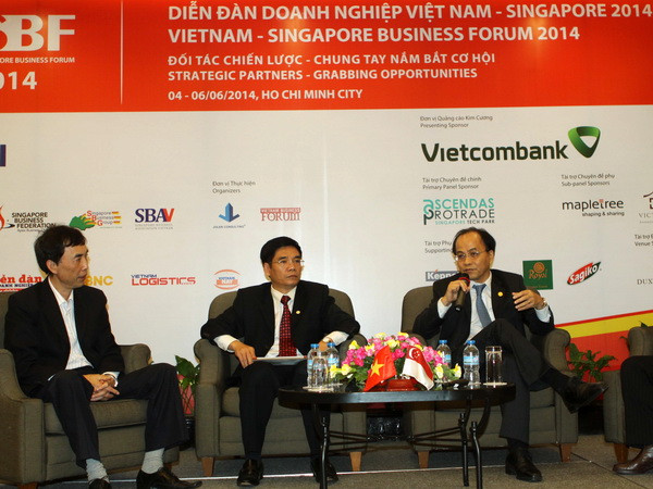 Doanh nghiệp Singapore dẫn đầu đầu tư vào TP Hồ Chí Minh ảnh 1