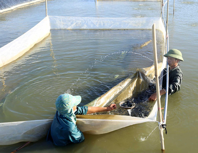 Đầu tư các dự án ở 4 tỉnh miền Trung dùng tiền bồi thường của Formosa ảnh 1