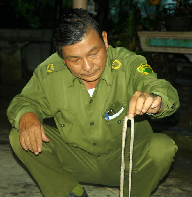 Bệnh viện Bến Tre tiếp nhận nhiều ca bị rắn lục đuôi đỏ cắn ảnh 1