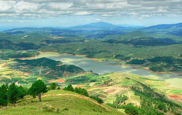 Lâm Đồng: Trồng 1.000 cây mai anh đào trên núi Lang Biang ảnh 1