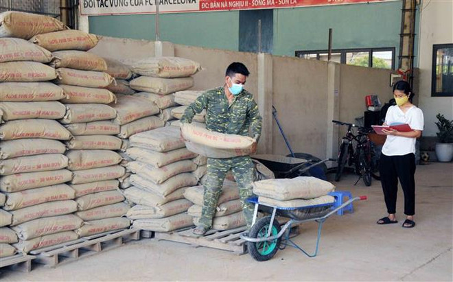 Ximăng là ngành chịu ảnh hưởng trực tiếp của việc tăng giá than. (Ảnh: TTXVN) Giá vật liệu tăng chóng mặt, nhà thầu xây dựng trước nguy cơ “vỡ trận” ảnh 1