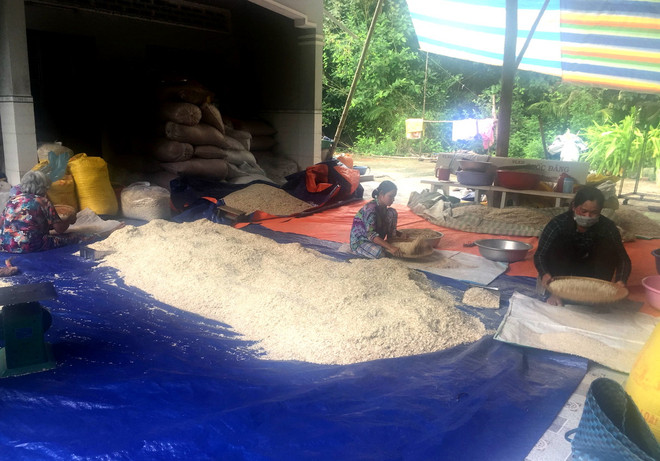 [Photo] Sóc Trăng: Nhộn nhịp nghề làm cốm dẹp vào vụ ảnh 2