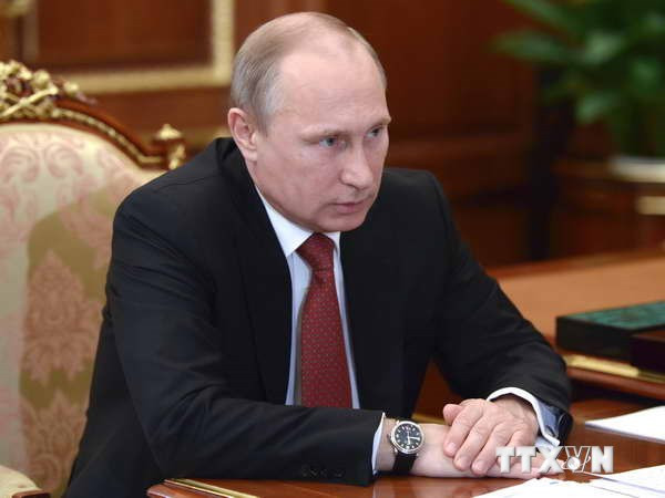 Tổng thống Putin: Lệnh ngừng bắn tại Ukraine cần được kéo dài ảnh 1
