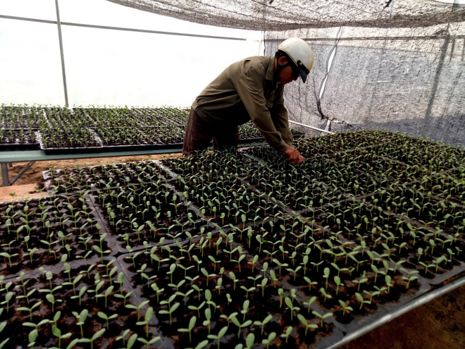 Phát triển nông nghiệp thông minh: Nhà nông đi đầu đầu tư công nghệ ảnh 2