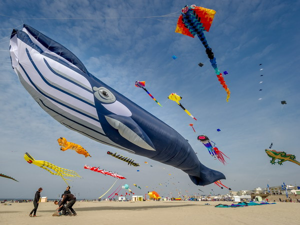 [Photo] Liên hoan Diều Quốc tế lần thứ 28 tại Pháp ảnh 1