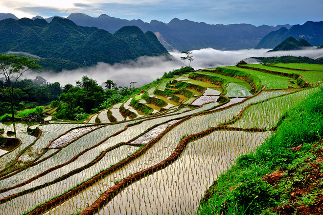 [Video] Ngắm vẻ đẹp quyến rũ của ruộng bậc thang xứ Thanh ảnh 1