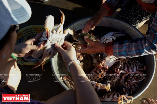 Mục sở thị bãi biển hoang sơ bậc nhất Việt Nam hiện nay ảnh 5