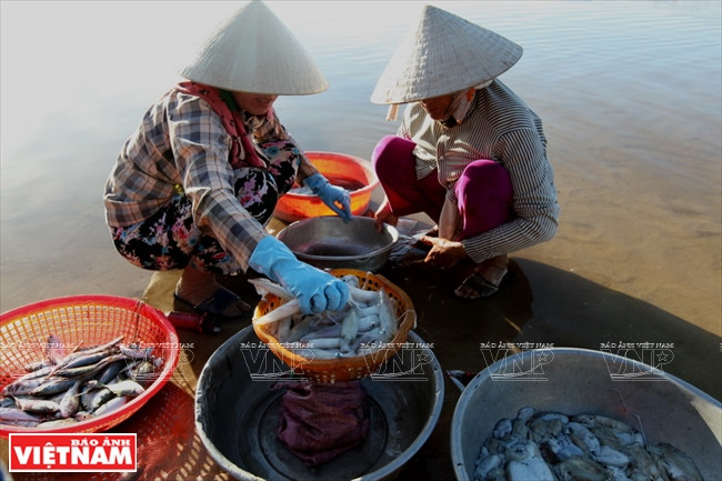 Mục sở thị bãi biển hoang sơ bậc nhất Việt Nam hiện nay ảnh 4