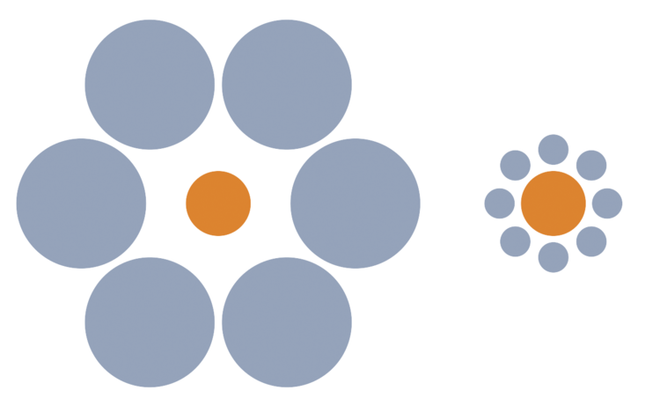 Bí ẩn khiến cư dân mạng dậy sóng vì những bức ảnh ảo thị giác ảnh 13