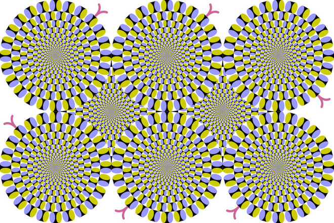 Bí ẩn khiến cư dân mạng dậy sóng vì những bức ảnh ảo thị giác ảnh 7