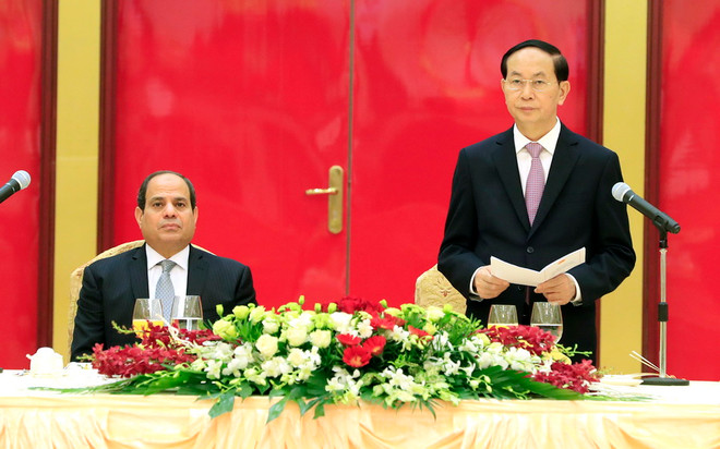 Chủ tịch nước Trần Đại Quang chiêu đãi trọng thể Tổng thống Ai Cập ảnh 1