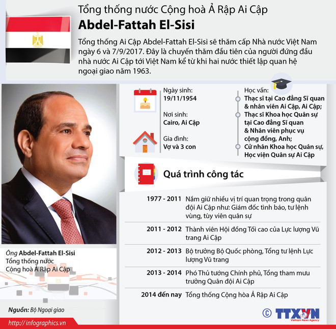 Tổng Bí thư Nguyễn Phú Trọng tiếp Tổng thống Cộng hòa Arab Ai Cập ảnh 2