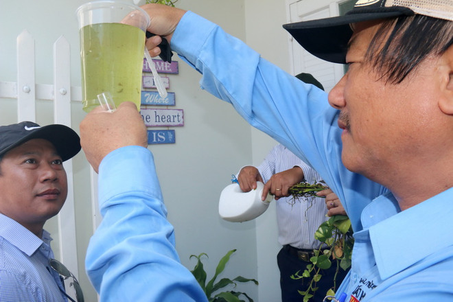 Bộ Y tế giám sát công tác phòng chống sốt xuất huyết tại Bình Thuận ảnh 1