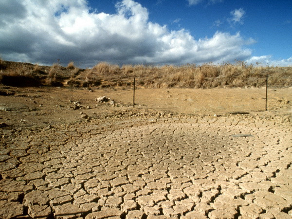 Hơn 10 tập đoàn lớn của Mỹ cam kết ngăn chặn biến đổi khí hậu ảnh 1
