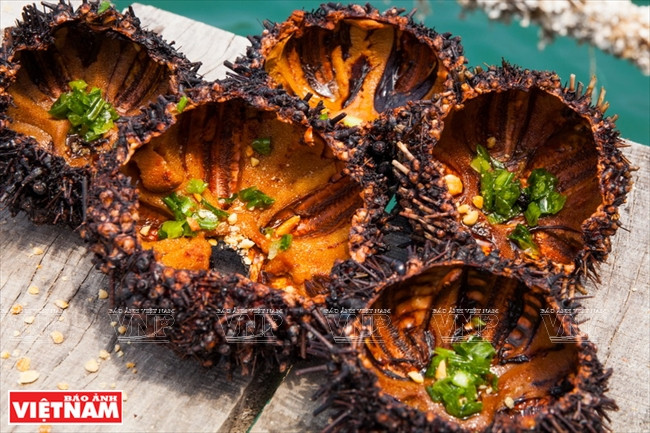 Ngọt bùi món nhum nướng mỡ hành đặc sản xứ biển miền Trung ảnh 1