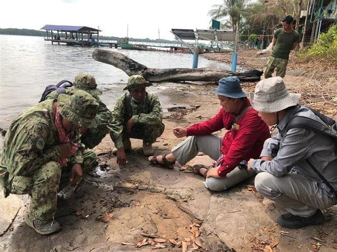 Campuchia phát hiện hóa thạch xương khủng long trên đảo Koh Por ảnh 1