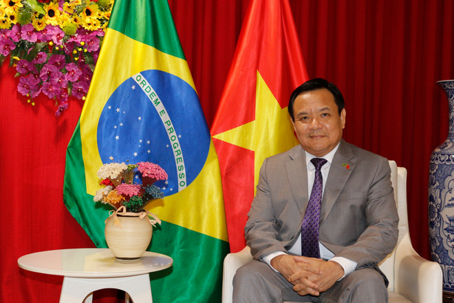 dai su viet nam tai brazil.jpg