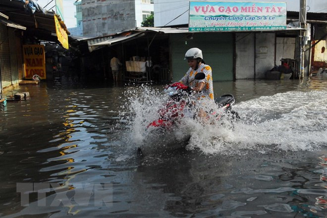 Quy hoạch chống ngập cho TP.HCM: Vì sao chưa hiệu quả? ảnh 2