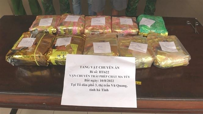 Hà Tĩnh: Bắt đối tượng vận chuyển 10kg ma túy tổng hợp dạng đá ảnh 2