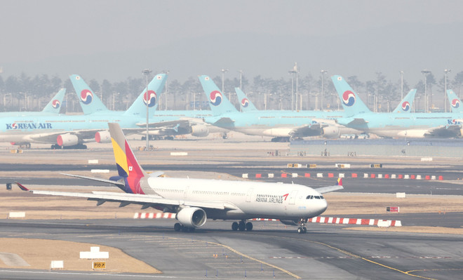 Hàn Quốc thận trọng với thương vụ Korean Air thâu tóm Asiana Airlines ảnh 1