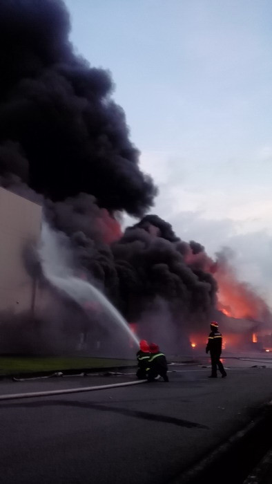 Bình Dương: Xảy ra cháy lớn tại Công ty TNHH Sakata ảnh 3