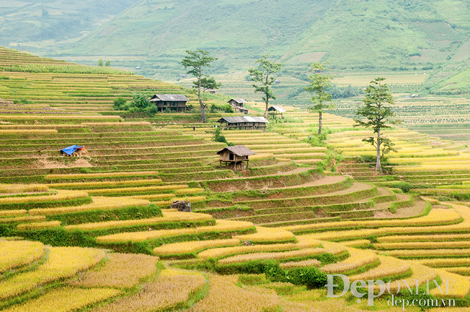 [Photo] Đến Mù Căng Chải ngắm ruộng bậc thang để hiểu về hạnh phúc ảnh 18
