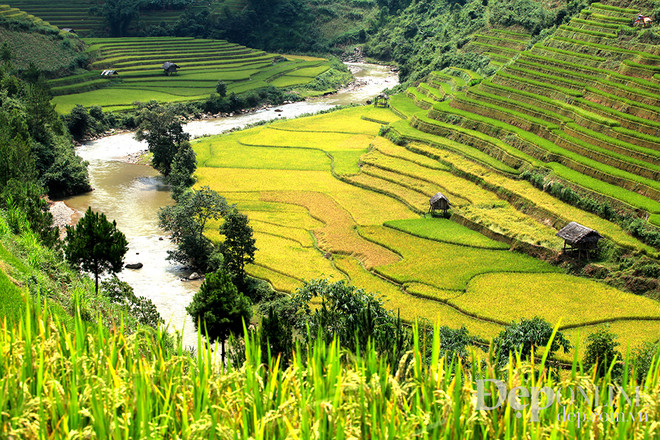 [Photo] Đến Mù Căng Chải ngắm ruộng bậc thang để hiểu về hạnh phúc ảnh 20