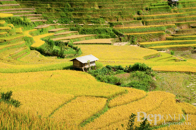 [Photo] Đến Mù Căng Chải ngắm ruộng bậc thang để hiểu về hạnh phúc ảnh 13
