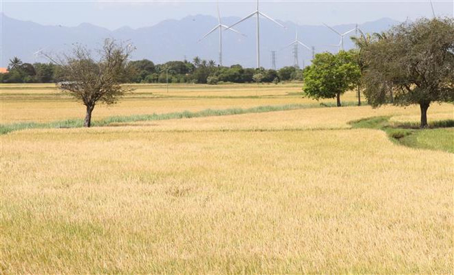 Phát động cuộc thi ảnh “Ninh Thuận-Miền di sản” ảnh 1