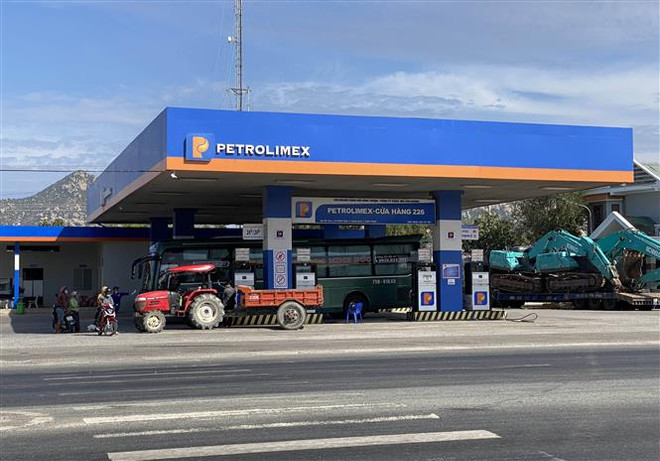 Thành phố Hồ Chí Minh: Giữ giá hàng hoá bình ổn đến hết tháng Ba ảnh 2