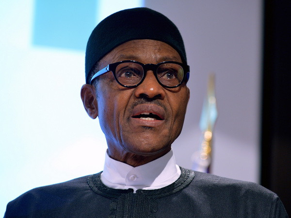 Nigeria đánh giá cao tiềm năng hợp tác kinh tế với Trung Quốc ảnh 1