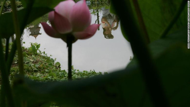 Lá thư lay động trái tim cả triệu người của cô gái Vũ Hán ở Hong Kong ảnh 2