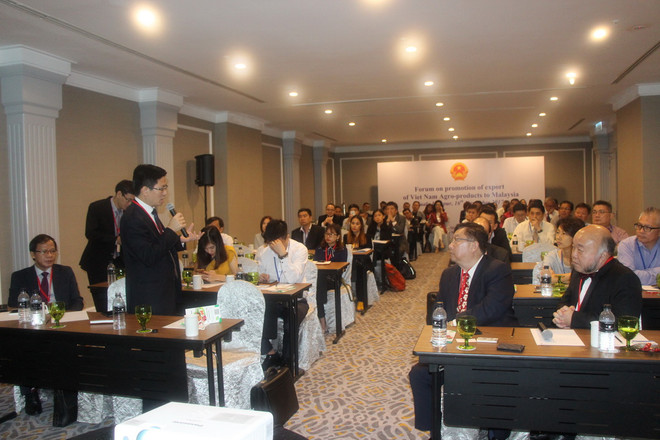 Cơ hội tăng cường xuất khẩu nông sản Việt Nam vào Malaysia ảnh 1