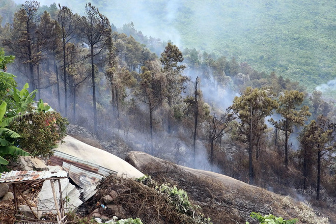 Cơ bản khống chế được vụ cháy lớn tại rừng đặc dụng Nam Hải Vân ảnh 1