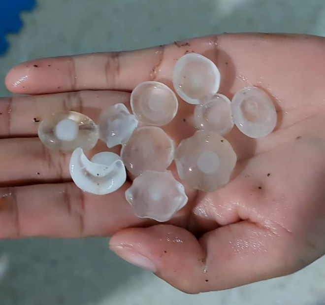 Hạt mưa đá có kích thước 2-3cm. (Ảnh: TTXVN phát) mua da_lao cai 2.jpg